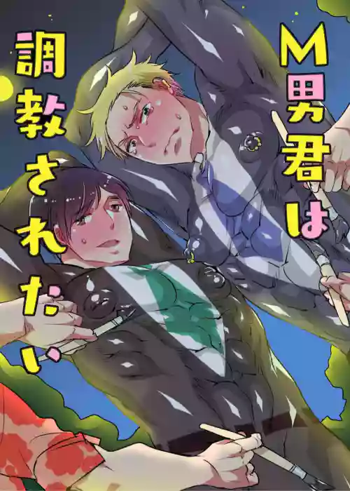 M Otokogimi wa Chōkyō sa Retai