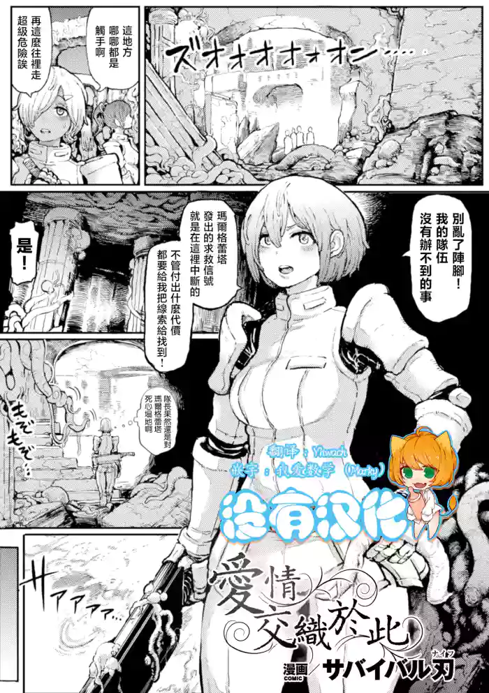 愛情交織於此 cover