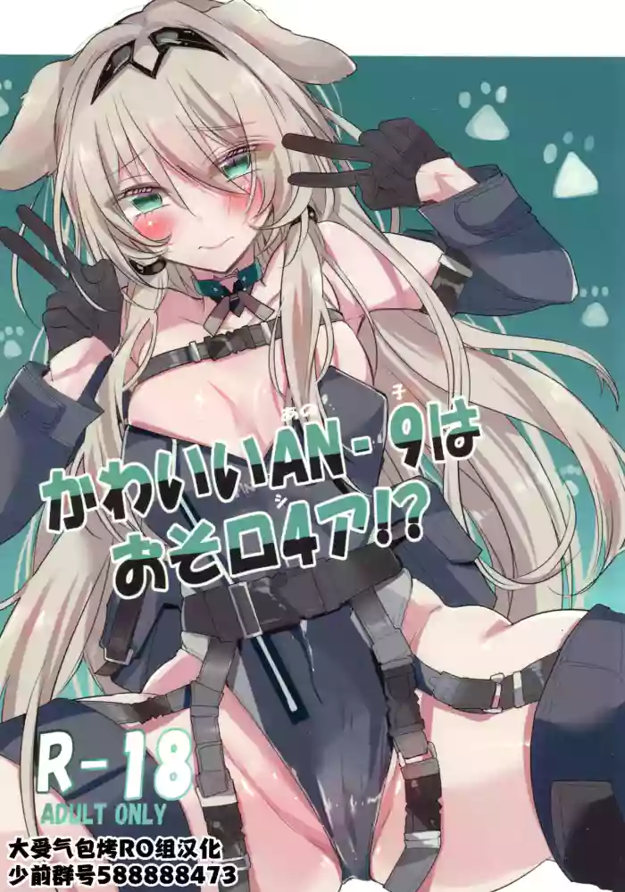 Kawaii AN-9 wa osoro4a! cover