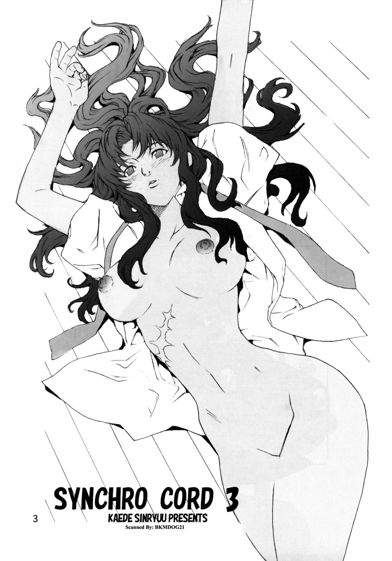 SYNCHROCORD 3 (Neon Genesis Evangelion) [English] =TB= page 2 full